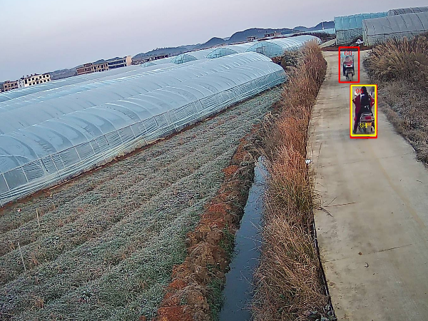 有了果園智能視頻監(jiān)控系統(tǒng)，從此只需要開心地種果實