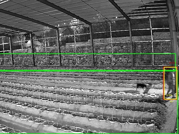 農(nóng)業(yè)園區(qū)視頻監(jiān)控系統(tǒng)要解決的問題有哪些？